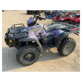 2004 Polaris Sportsman 700 Twin, Mossy Oak Camo,