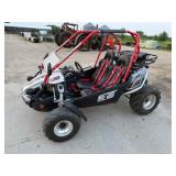 Hammerhead  Platinum GTS 2 Seater Go Kart,