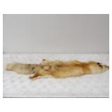 Fox Pelt, 4ft. Long
