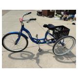 Meridian Tricycle