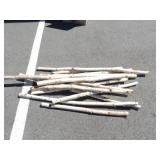 Assorted Birch Limbs