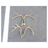 2 Pairs of Antlers (3pt & 4pt)