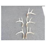 3-4pt Antlers, 2-5pt Antlers, 5 Total