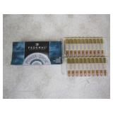 20-Federal 243 Win 100gr SP