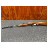 Wards Westernfield 22 S/L/LR Bolt Action, Sights