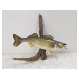 25in. L Walleye on Driftwood Mount