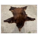 Cinnamon Bear Fur Hide