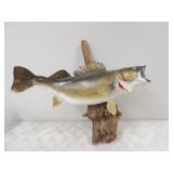 27.5in. Walleye on Driftwood Mount