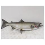 40in. L King Salmon