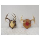 2-European Deer Mounts 10pt. & 7pt.
