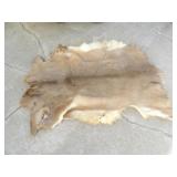 Tanned Deer Hide 51in. L x 36in. W