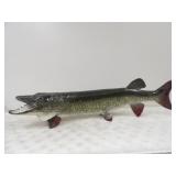 43in. L Musky Mount