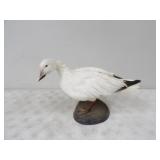Snow Goose Mount