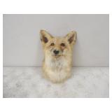 Fox Head Mount 11.5in. T