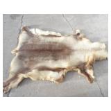Tanned Hide 61in. L x 36in. W