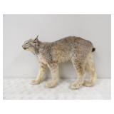 Full Body Lynx Mount 32in. L x 24in. T