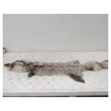 Silver Fox Fur Pelt 53in. L