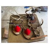 Asst. Deer Antlers
