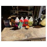 2 1/2 Gal. RV Antifreeze, 1/2 Gal. Car Wash, Misc.