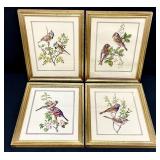 Four Framed Aviarian Prints