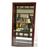 Mirrored Wall Hanging Display Case