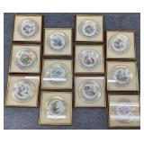 12 Framed Lenox Boehm Bird Collector Plates