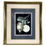 Vintage Chelsea House? Lemon Art Print