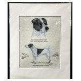 Jack Russell Terrier Print