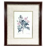 Framed Botanical Print