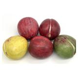 5pc Carved Stone Fruit Plums