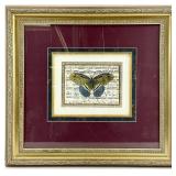 Butterfly Harmony II Framed Art Print