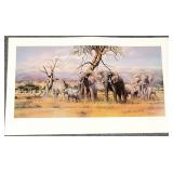 Gary Swanson S/N Elephant Print