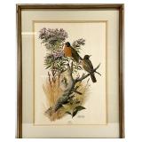 Arthur Singer Signed Robin Bird Lithograph Art