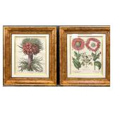 2 Burl Walnut & Satin Birch Framed Lithos