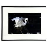 Mark Hilliard Nature Fine Art Photo, Signed