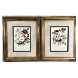 2pc Roses & Geraniums Floral Framed Art