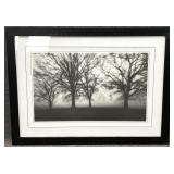 Black & White Tree Photograph Framed & Matted