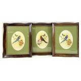 3 Vintage Blue Jay & Cardinal Bird Art Prints