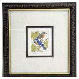 S/N John Furches Bluebirds Framed Art Print