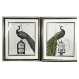 2pc Sue Schlabach, Peacock Birdcage Art Prints