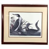 J.J. Audubon Numbered Red Throated Diver Print