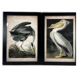 2pc J.J. Audubon Bird Art Prints, Blue Heron &