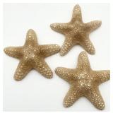 3pc Natural Starfish