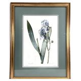 Ethan Allen Botanical Framed & Matted Art Print