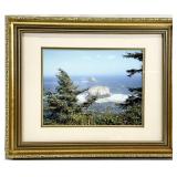 Framed Landscape Photograph