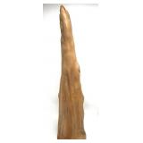 27 " Natural Cypress Knee Wood Sculpture