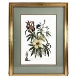 Ethan Allen Botanical Framed & Matted Art Print