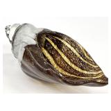 Hand Blown Glass Conch Shell Vase