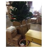1 LOT 2 SILK TREES