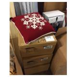 3 CTN ACCENT PILLOWS